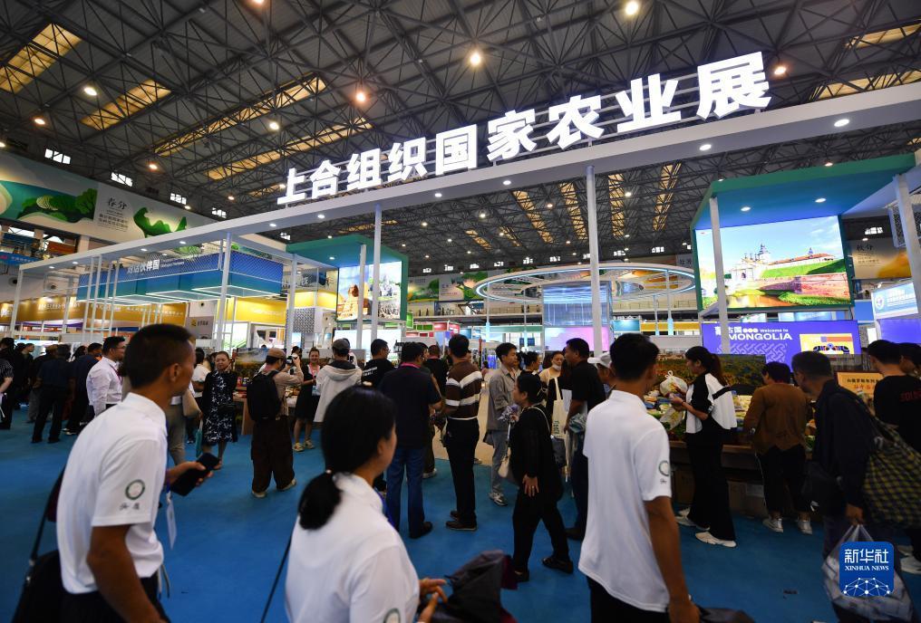 游戏中心正版下载